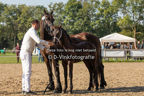 21. Cato van de Hopjeshoeve