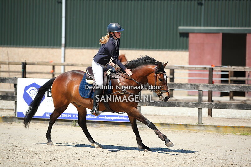 Reigersburgh Lentespringen 10-05-2025 Pony's 90 t/m 110 cm