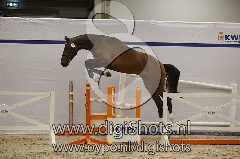 Stefano v. Comme il Faut