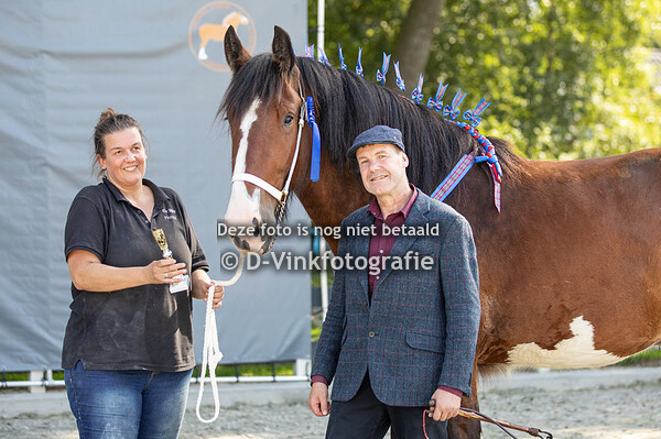 16. 3 en 4 jarige ruinen