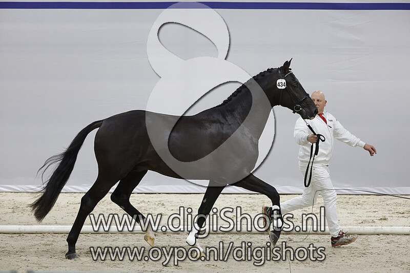 Omega Jil T v. Glock's Toto Jr