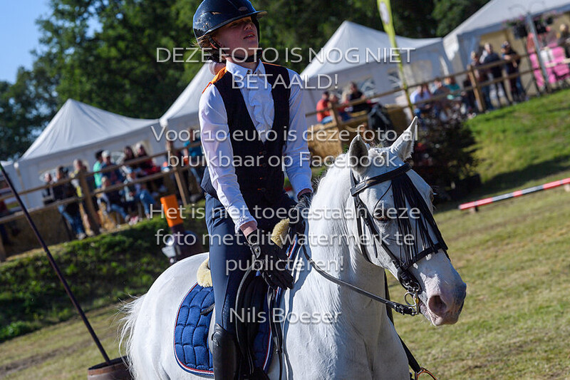 4 Working Equitation