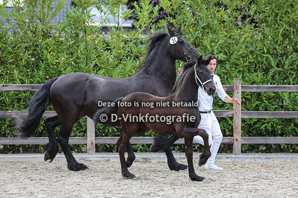 31. Zwaantje van Weelde