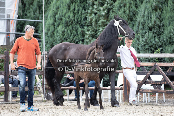 17. Sietske van Hoeve 't Raamzicht