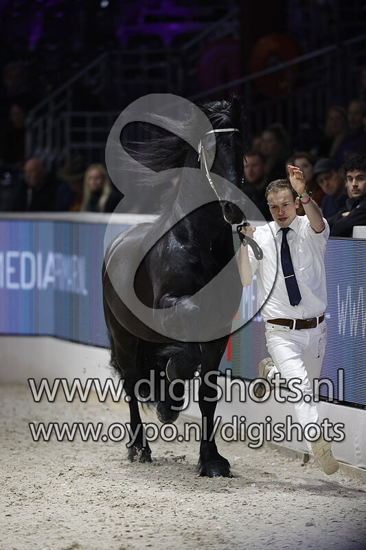 Wardy 509 v. Hette 481