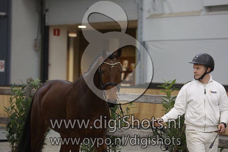 Ricky Blue Y'm v. Komme Casall Tn - 093