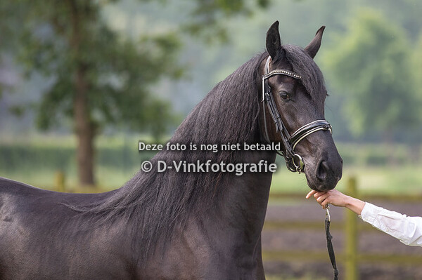 09. Silke-Anne fan Midsheide