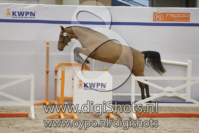 Runar W v. Thunder Van De Zuuthoeve - 148