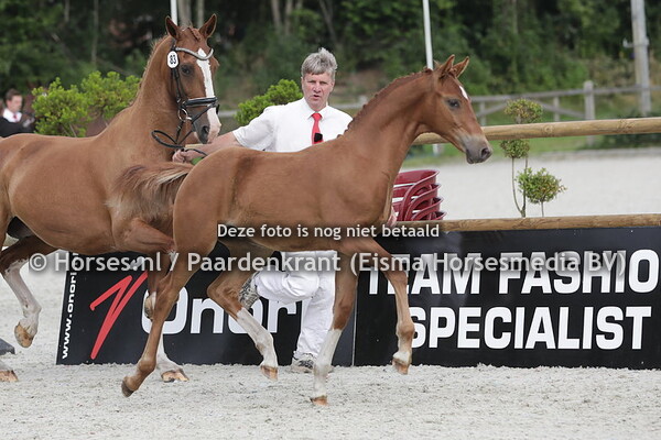 83 Royal King (King Karim x zeronica v. Talos)