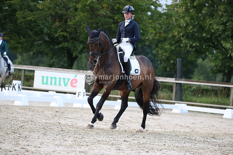 41_HAAKSBERGEN_AVONDDRESSUUR_paard_25juli2025