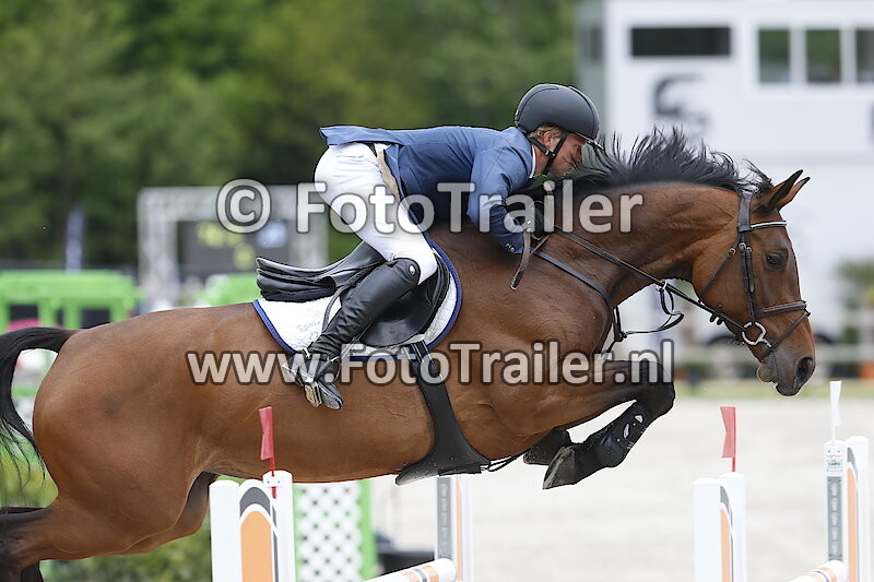 Dennis van den Brink