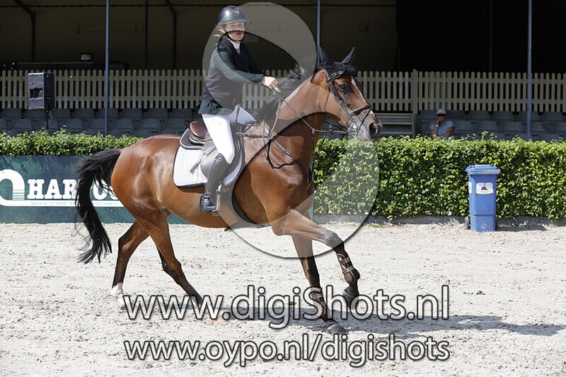 Springen verenigingskampioenschap paarden 1.20