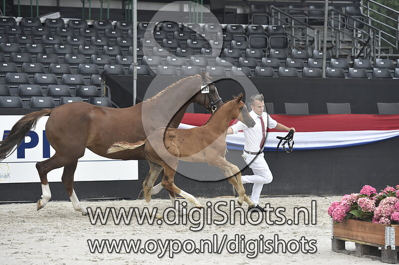 Neihmar v. Dark Pleasure