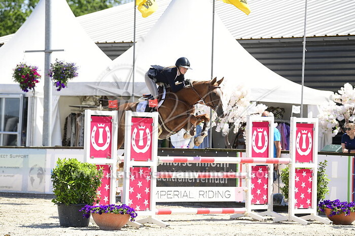 Anna Jazmin Nyari - Aren Bee