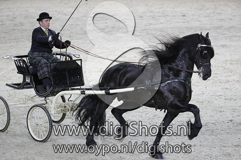 Tjabe van de Demro Stables