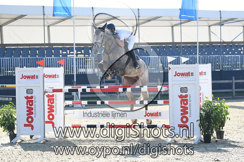 Eickenrode's Icarius