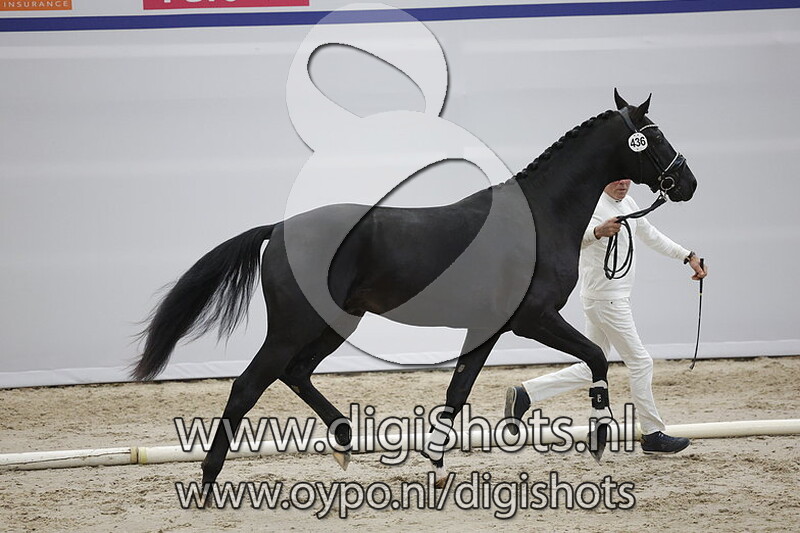 Power of Dreams v. Just Wimphof - 436