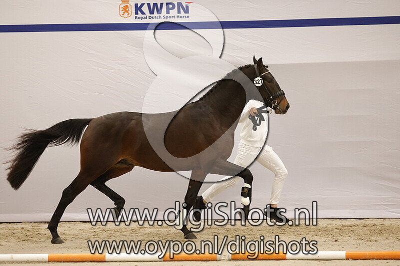 Sancho d' Or v. Equador