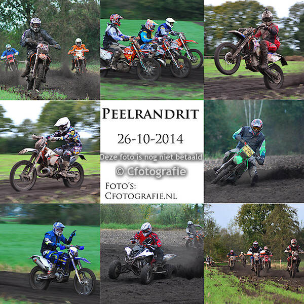 Peelrandrit 2014 