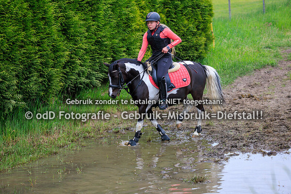 Training Margo Chaam Groep3 15.00 05-05-25