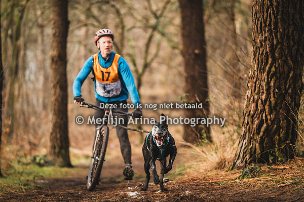 Bosschenhoofd - Step