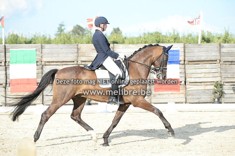 Freestyle small tour