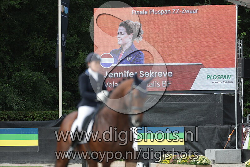 Velasco di Vitalis BF