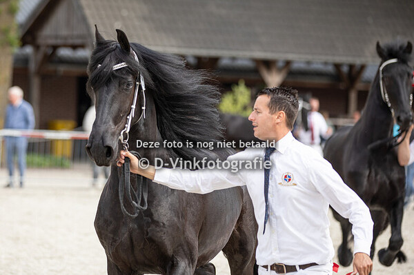 08. Toos T van Sessing