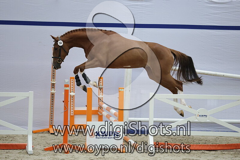 Sien Amelusiena LK v. Baltic VDL