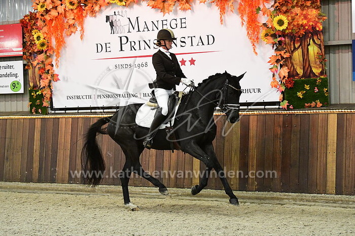 Joyce Brand - Secret Project