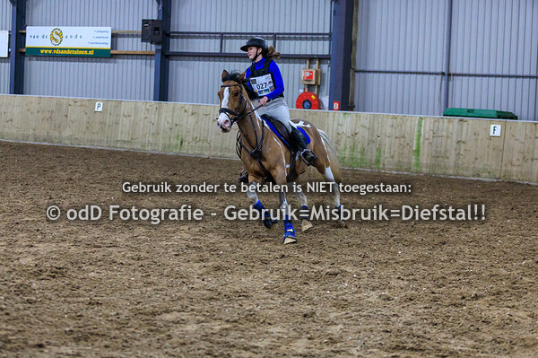 Indoor Cross Boxtel cross 70-80 02-02-25