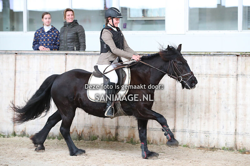 De Voornruiters de Meern Springen Pony's 12-03-2022 BB/B (A/B/C/D pony's)