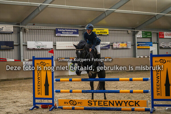 Paarden download/afdruk zonder logo