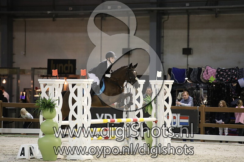 Jacodi's Bera's Barlow