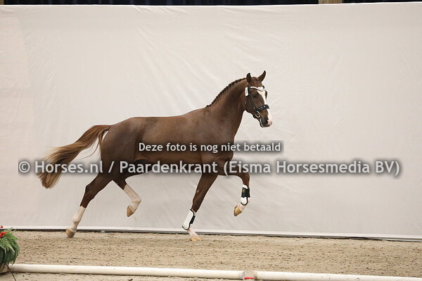 388 For Ferrero x Osmium