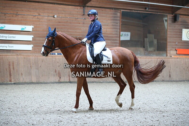 PV Midland Dressuur 22-11-2025 10.00 uur