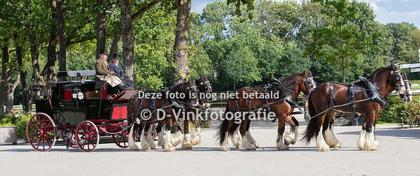 Stalhouderij Wouter Hazeleger