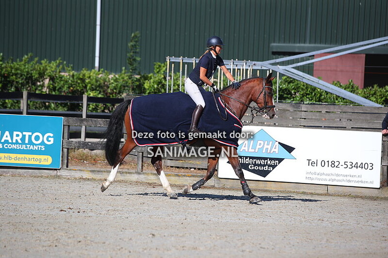 Reigersburgh 08-09-2024 Grote Prijs Waddinxveen 110 cm