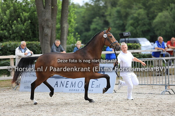 102 Ladyana v Hitmaker