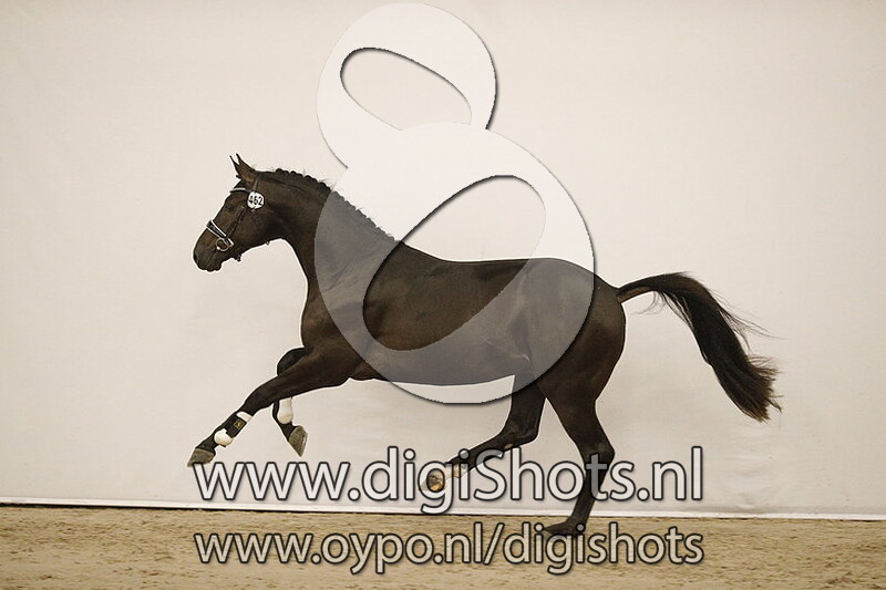 Mister Black v. Glocks Toto Jr