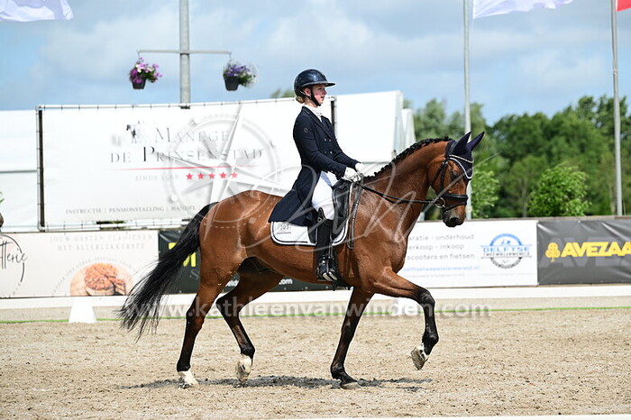 Noah de Bruijn - Duke Sinclair