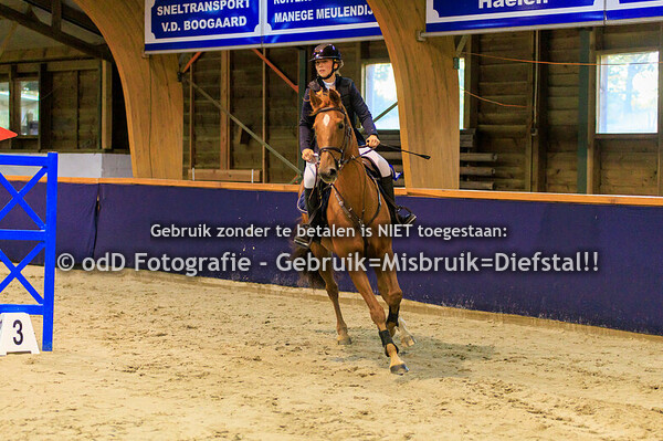 Geldrop Hippique Oefenspringen 60cm 11-10-24