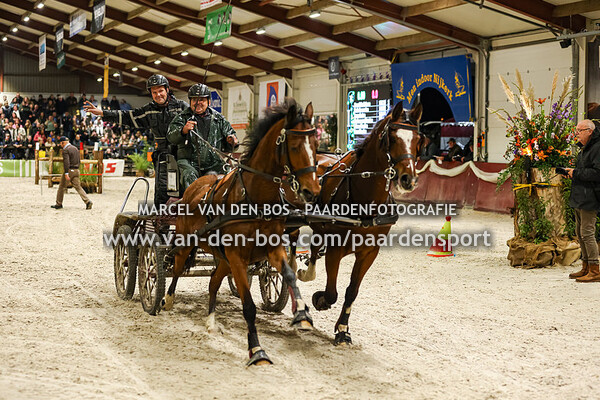 Finale tweespan paard