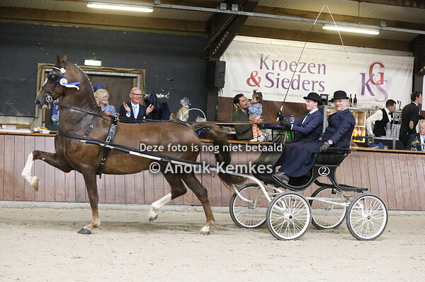TP Junioren 12 tot 16 jaar