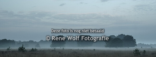 Weerfoto's voor publicatie