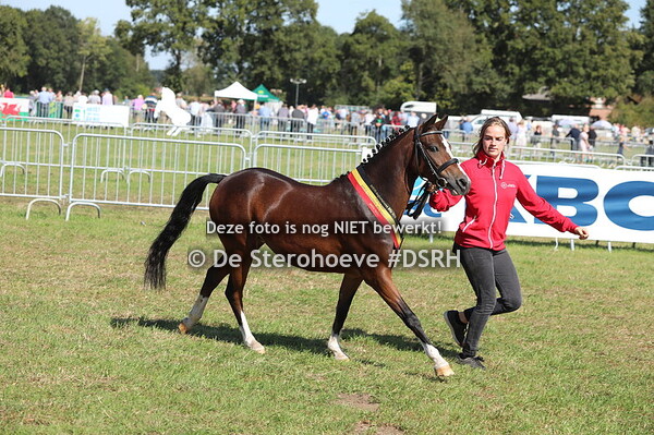 1.Merries kleine maat 4j en ouder