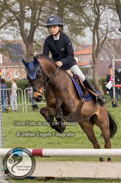 2018-04-14 Pony's posterholt