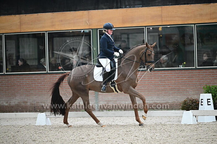 Carly Overeem - Nadona S