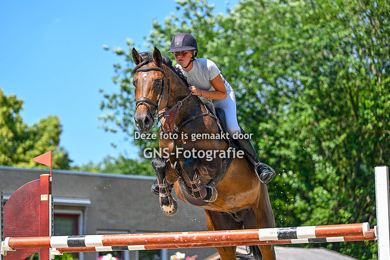 Springen Paarden 110 - 120 cm Ruitersport Centrum Breda zondag 25 juni 2023