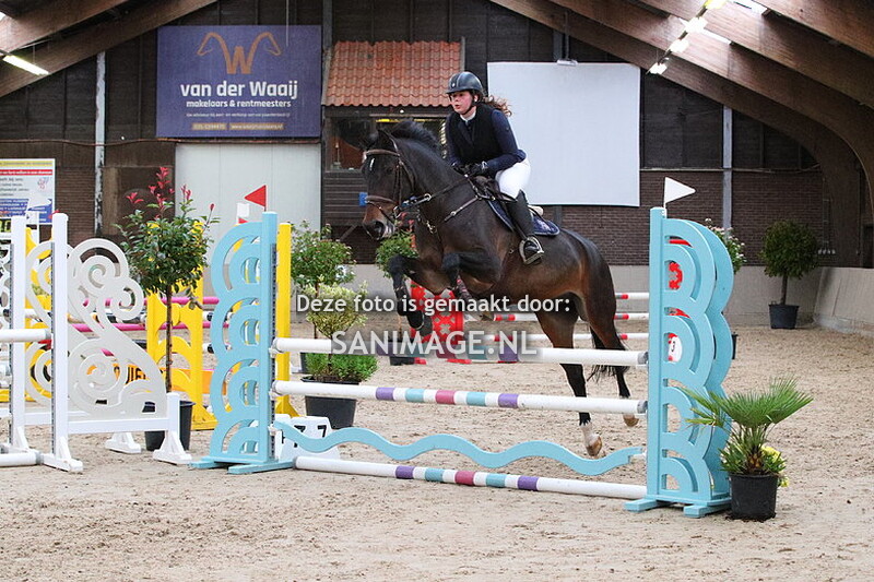 Zilfia's Hoeve Springen Paarden 20-10-2023 100 cm